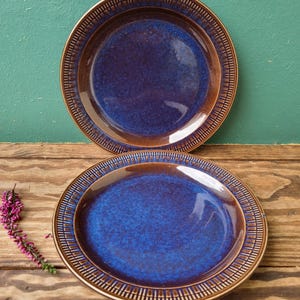 Könnte beinhalten: Zwei Keramikplatten mit tiefblauem Zentrum und braunem Rand. Die Teller haben ein strukturiertes Muster am Rand. Die Teller stehen auf einer Holzoberfläche. Dekoratives Geschirr.
