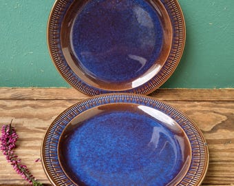 May include: Two ceramic plates with a deep blue center and a brown rim. The plates have a textured pattern around the edge. The plates are on a wooden surface. Decorative tableware.