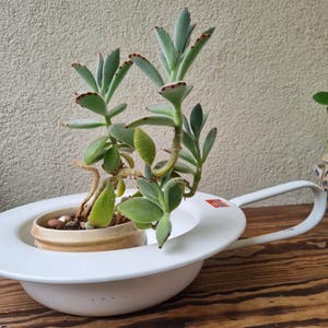 Cathrineholm Etablert 1910 Halden Vintage Enamel Slider Night Pot, Enamel Bed pan