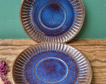 May include: Two ceramic plates with a deep blue glaze and a textured, ridged design. The plates have a brown rim and a central circle. The plates are displayed on a wooden surface.