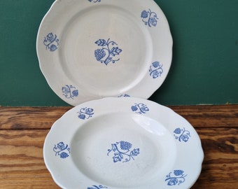 Rörstrand Druva ,  Blue & White  Antique Plates set, 1920