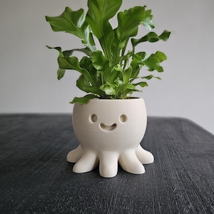 Può includere: Un vaso bianco a forma di polpo con un volto sorridente, contenente una pianta verde a foglie. Il vaso ha otto zampe a forma di tentacolo. Il vaso è su una superficie grigio scuro.