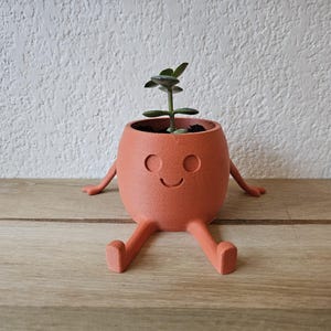 Könnte beinhalten: Ein terracottafarbener Topf in Form einer Person mit einem lächelnden Gesicht und zwei Armen und Beinen. Der Topf hält eine kleine grüne Pflanze.