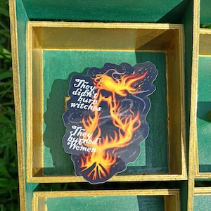 Not Witches but Women Sticker, Witch Trials, Burned at the Stake