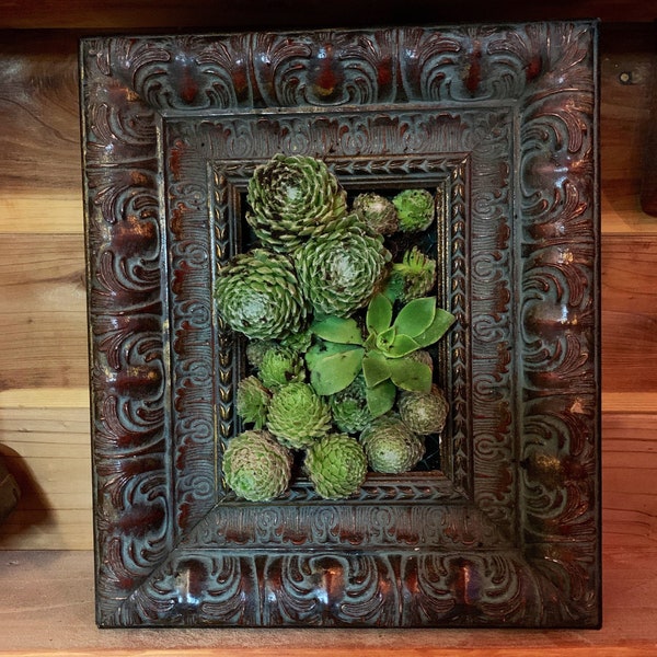 Succulent wall planter/succulent picture frame planter