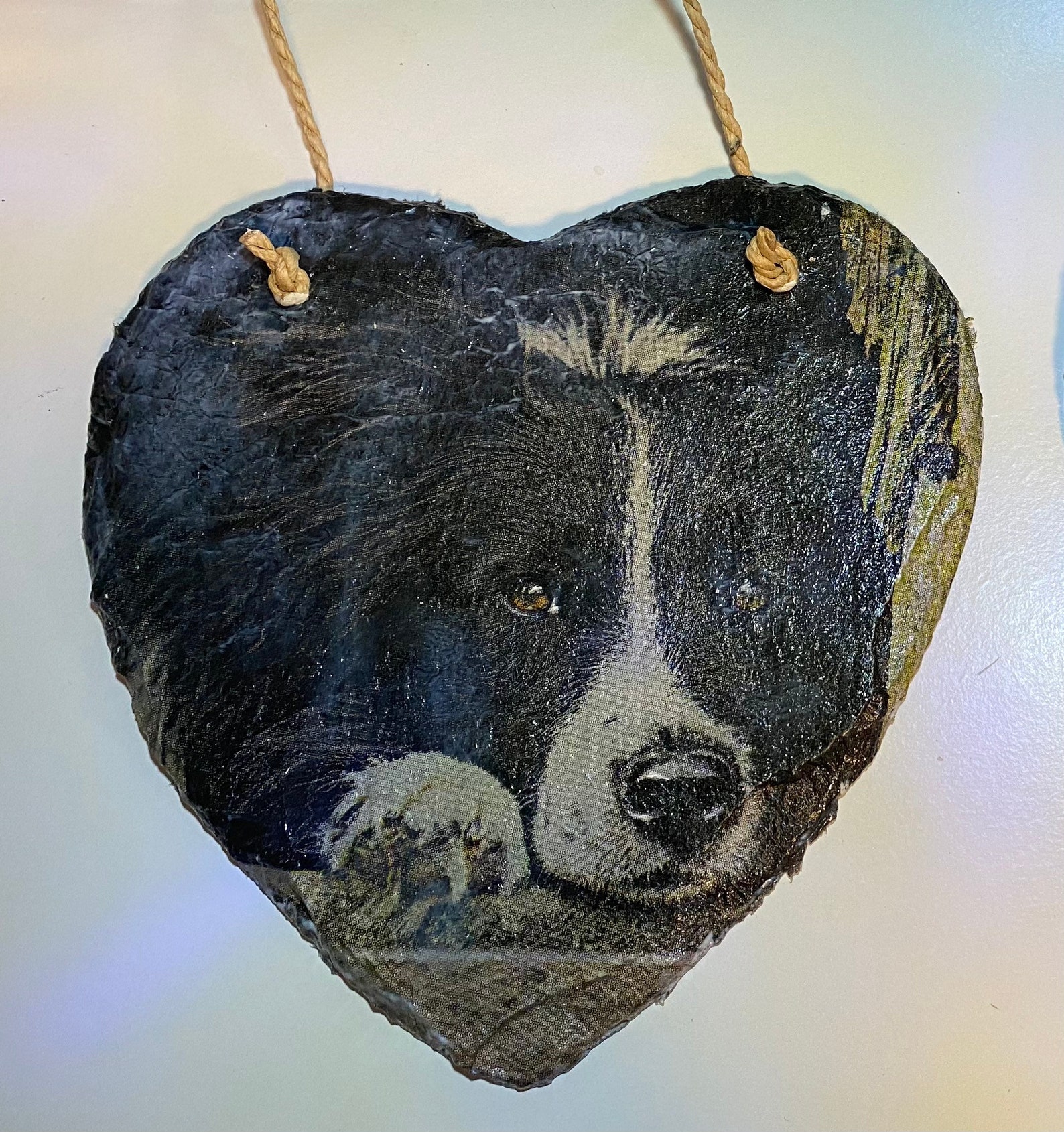 Collie dog gift set border collie dog gifts decoupaged gifts Etsy