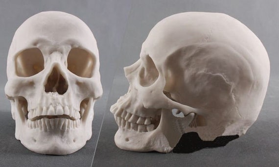 1:1 Actual Size 3D Skull Silicone Mold, Candle Plaster Silicone