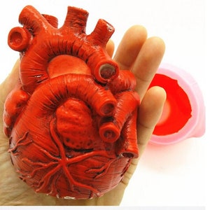 Bite Size Human Heart Candy Molds H157