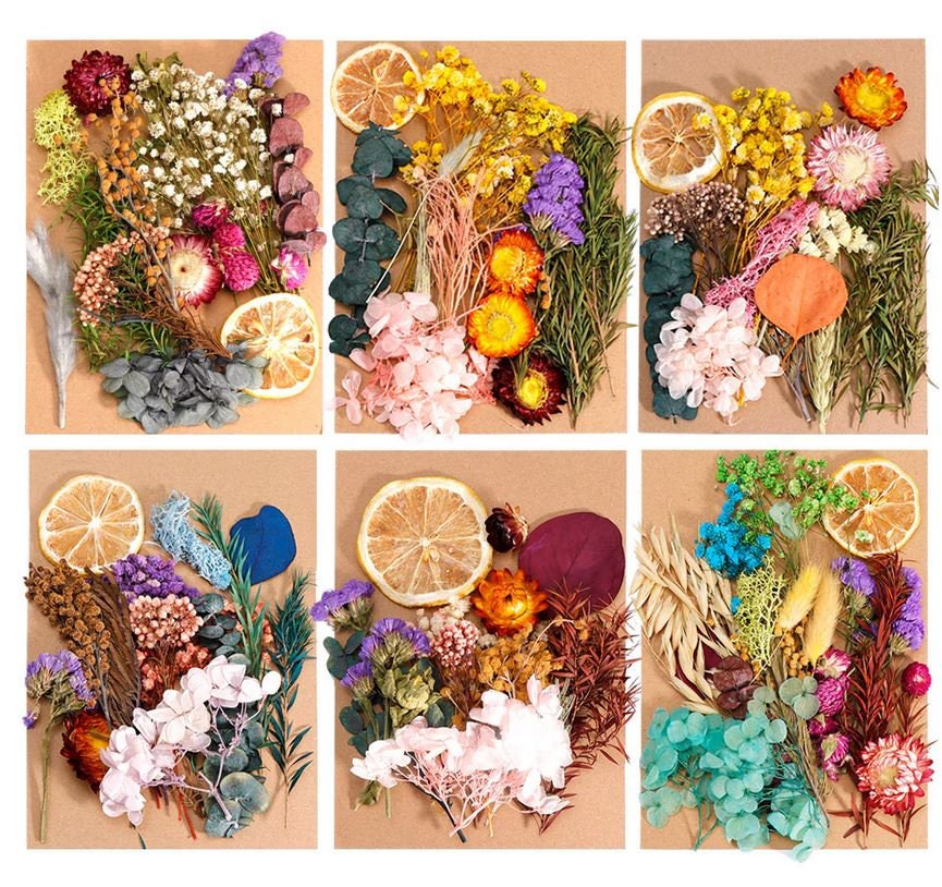 Flores secas naturales, plantas secas, para decoración, relleno de resina,  jabón, calcomanías de arte de uñas, moho epoxi, llenado de joyas -   España