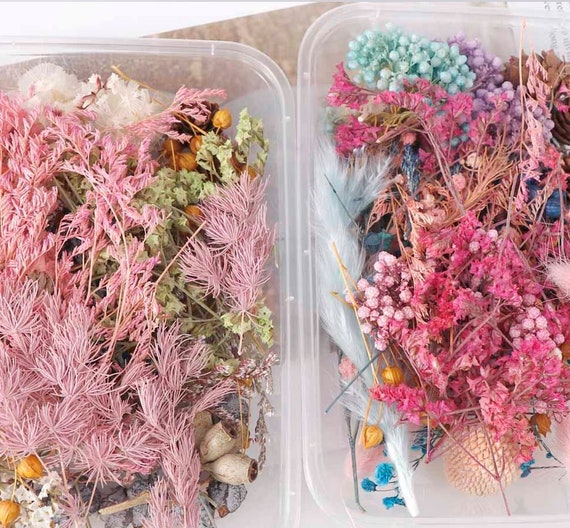1Pack Dried Flowers Dry Plants for Rsein Molds Fillings Epoxy