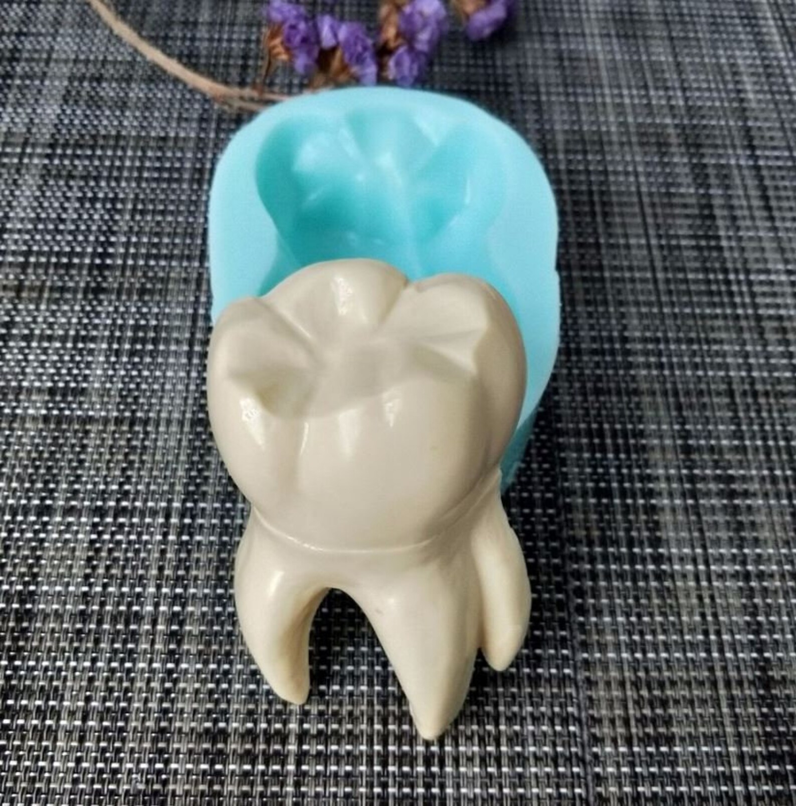 3D Tooth Silicone Mold Dentist Mold Candle Plaster Silicone Etsy