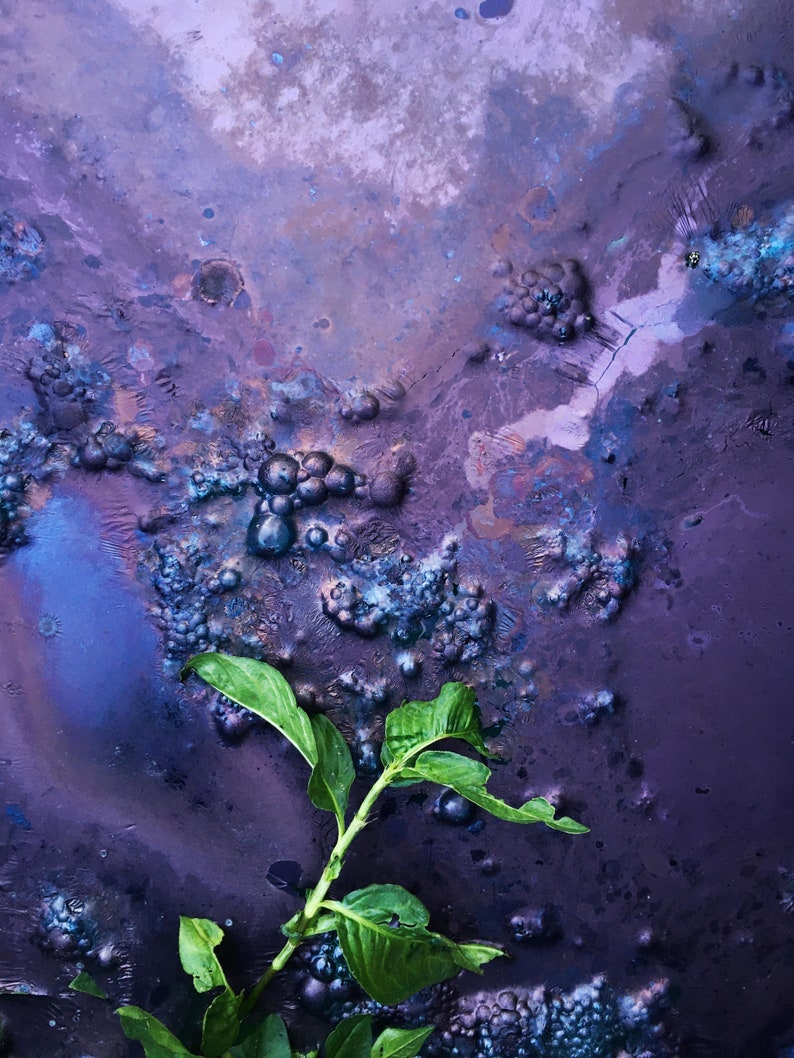 Indigo Natural Dye Powder image 3