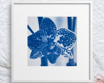 Blue Orchid Wall Art, Cyanotype Flower Art Print - Bring a sense of calm to your home with this orchid cyanotype