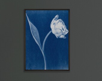 Tulip Print, Cyanotype Unframed Art Print - Show Mum just how much you care with this beautiful, unique gift