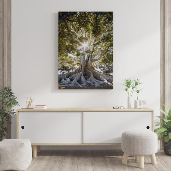 Tree Photography Wall Art Tree Roots Digital Photo Woodland Etsy
