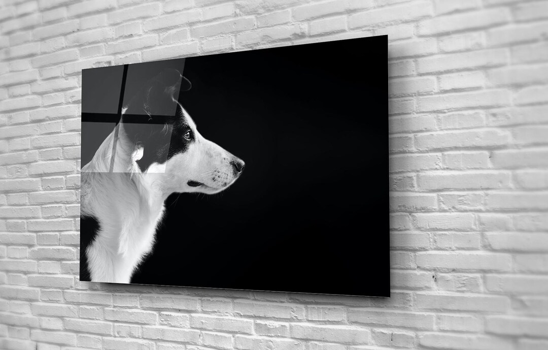Black and White Dog Wall Art Animal Shelter Decor Save Stray Etsy