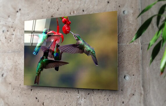 Acheter Décoration murale en acrylique avec colibri et oiseau, pour la  maison, le jardin, l'extérieur, Sculptures Miniatures, ornements pour  chambre à coucher