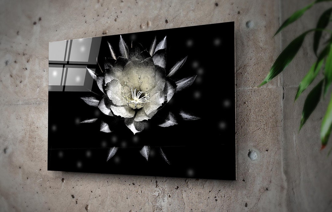 Abstract Black and White Rose Wall Art Floral Painting Glass Etsy