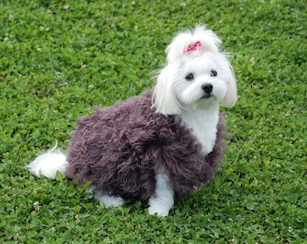 Abrigo de piel de oveja de invierno para perros CALISSA / DOG COATS, Ropa para mascotas, fabuloso abrigo para mascotas