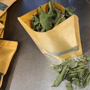 May include: A close-up shot of a tan pouch filled with dried green leaves. The pouch has a silver stripe across the front. Some leaves are scattered on the surface next to the pouch. The leaves appear to be dried herbs or tea.