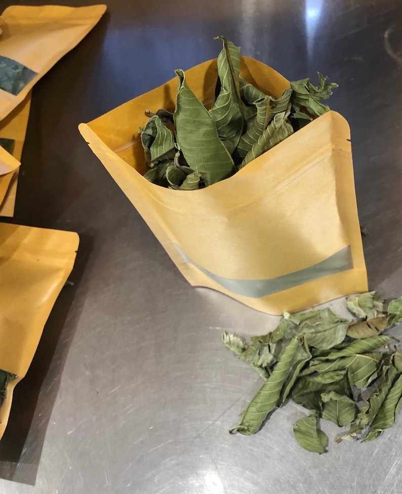 May include: A close-up shot of a tan pouch filled with dried green leaves. The pouch has a silver stripe across the front. Some leaves are scattered on the surface next to the pouch. The leaves appear to be dried herbs or tea.