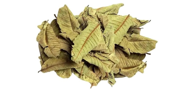May include: A pile of dried guava leaves, showcasing a mix of light green and brown hues. The leaves have visible veins and a textured appearance, suggesting they are ready for use. The image is set against a clean white background.