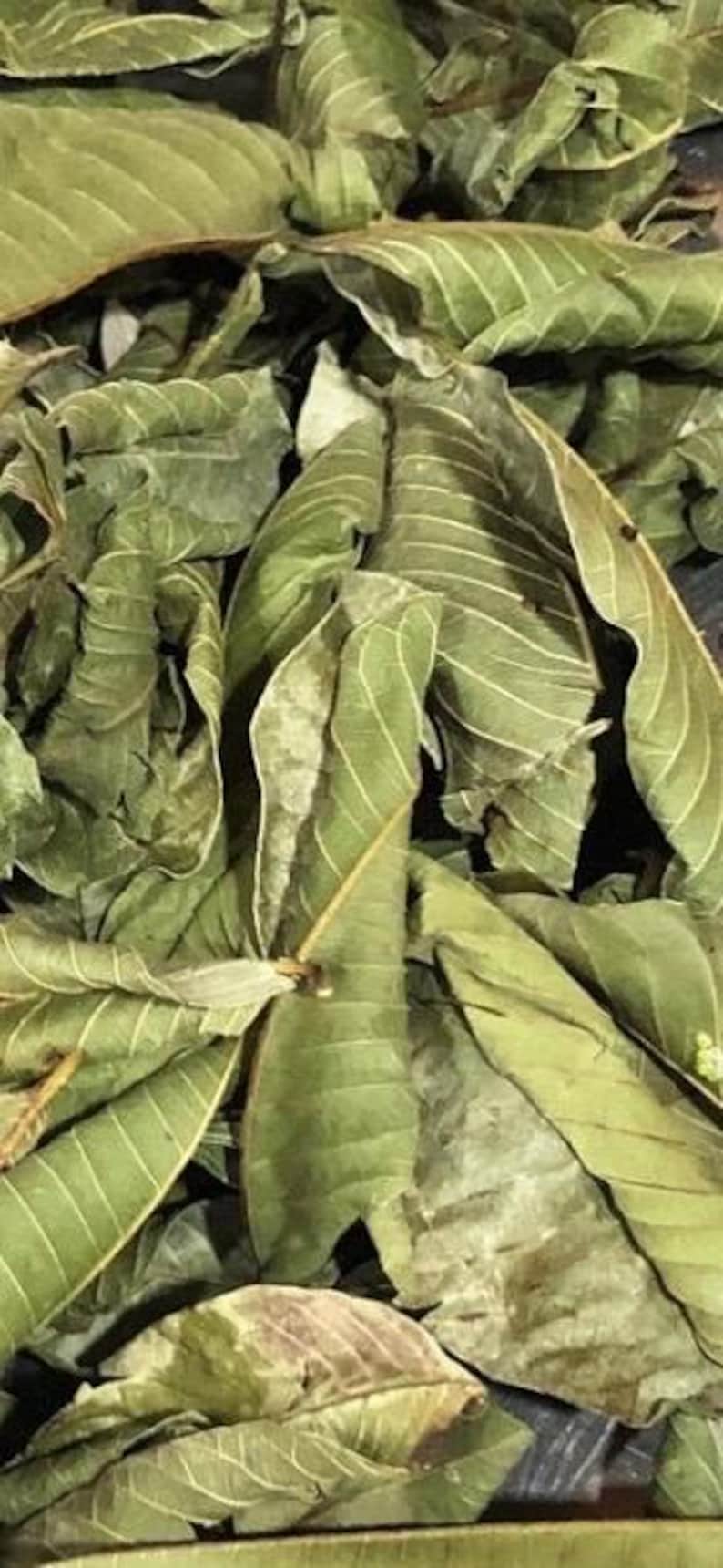 May include: Close-up of dried green leaves with visible veins. The leaves have a slightly curled appearance and vary in shades of green and brown. The image suggests a natural, organic product.