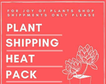 96 Hour Heat Pack For Shipping Plants | Add-On For JOY of PLANTS SHOP Orders Only | For Cold Temperature Locations | Time-Released Heat Pack