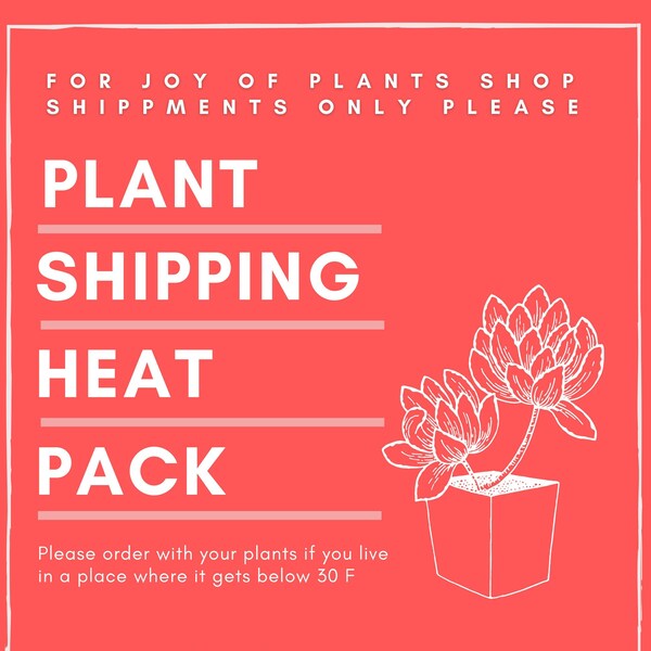 96 Hour Heat Pack For Shipping Plants | Add-On For JOY of PLANTS SHOP Orders Only | For Cold Temperature Locations | Time-Released Heat Pack
