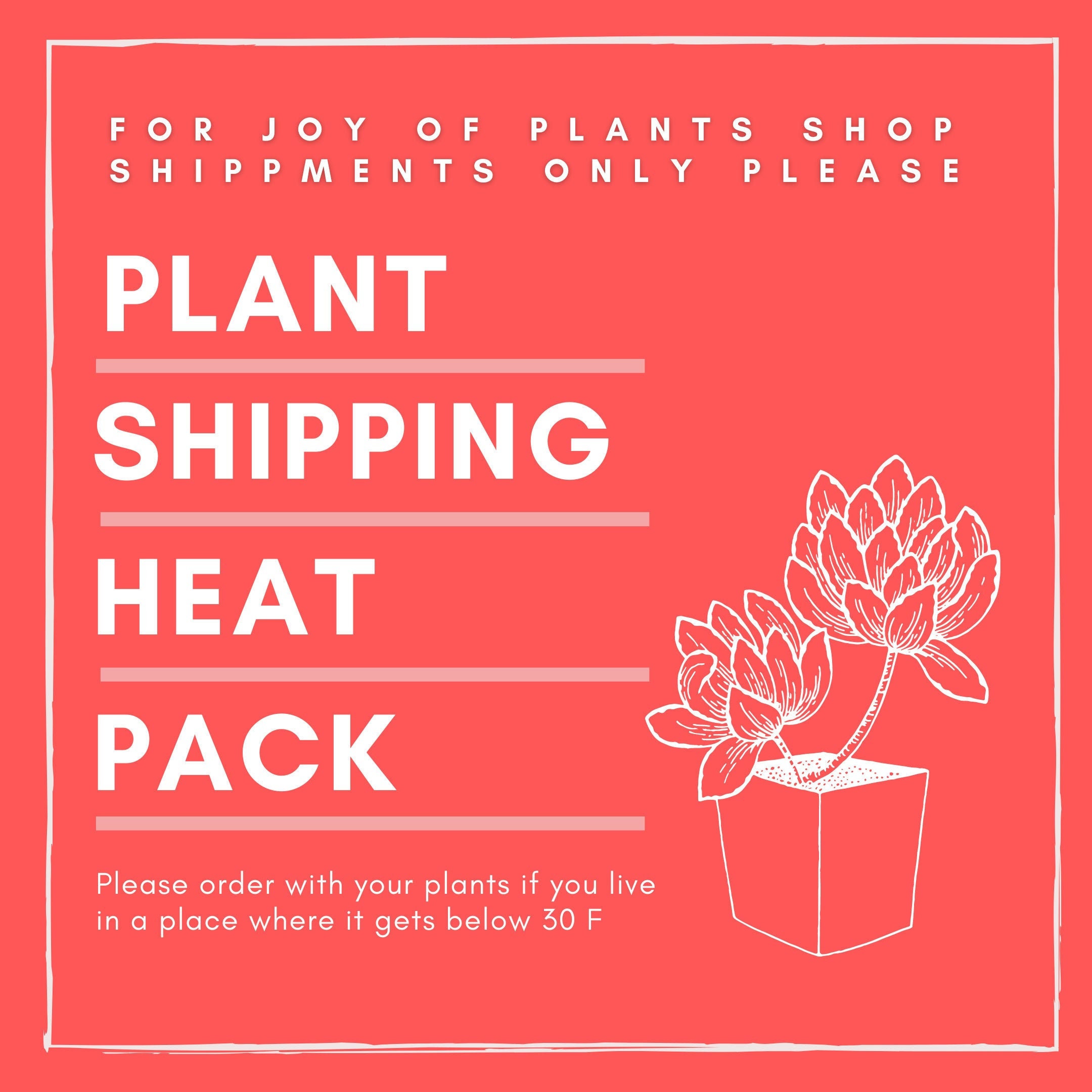 House Plants Heat pack for your purchased plant/s Gardening & Plants