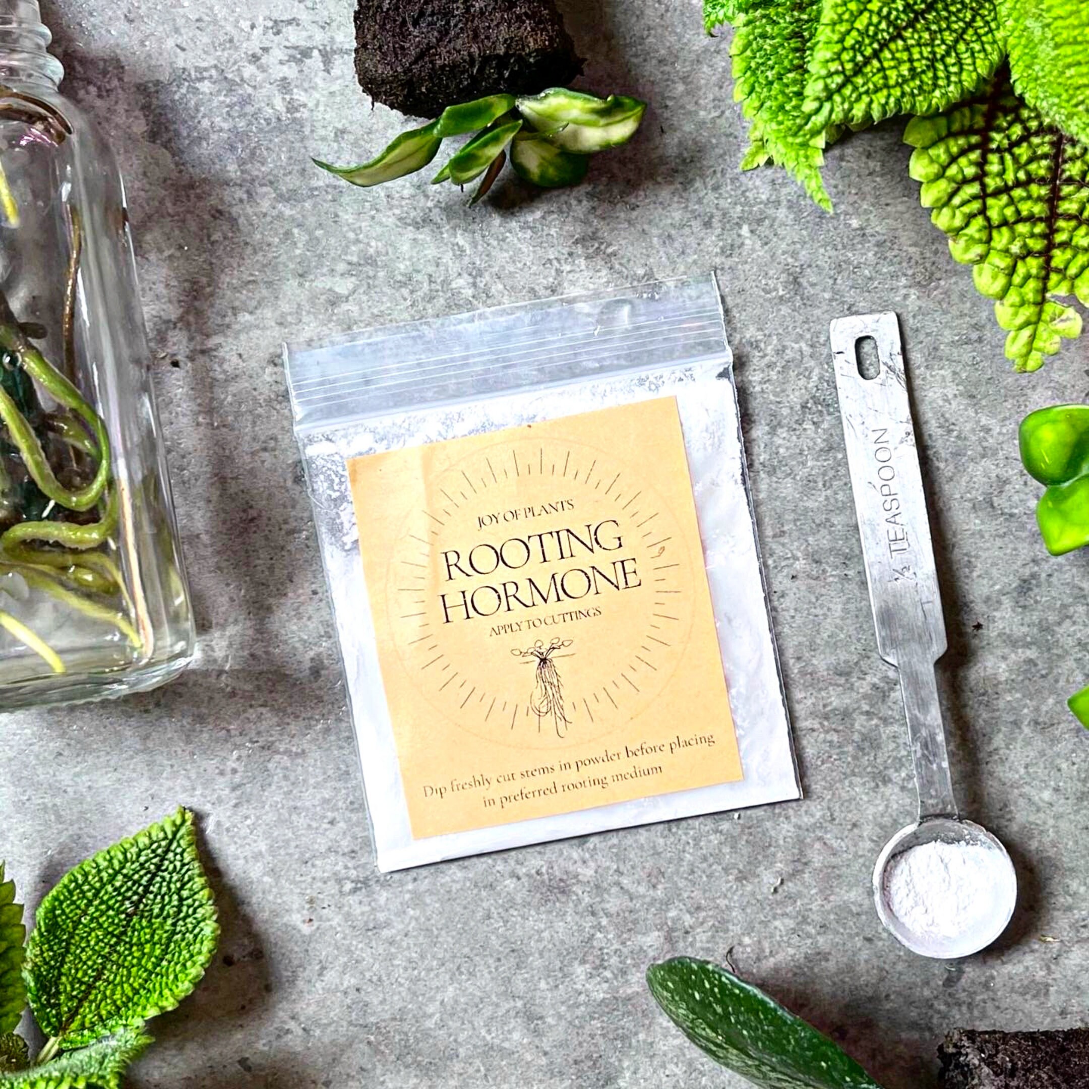 Rooting Hormone Propagation Rooting Powder Plant Growth Etsy