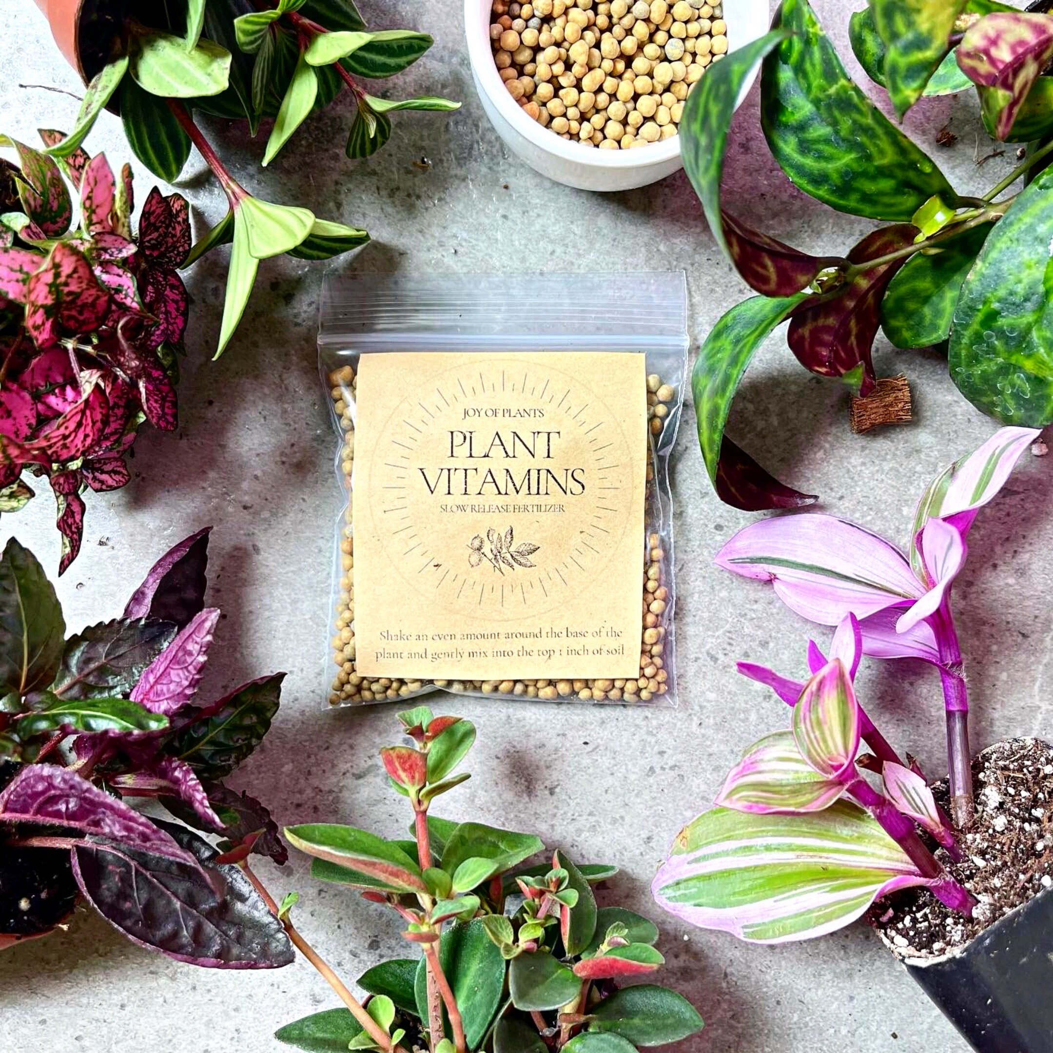 Plant Vitamins Full Houseplant Nutrition Slow Release Etsy