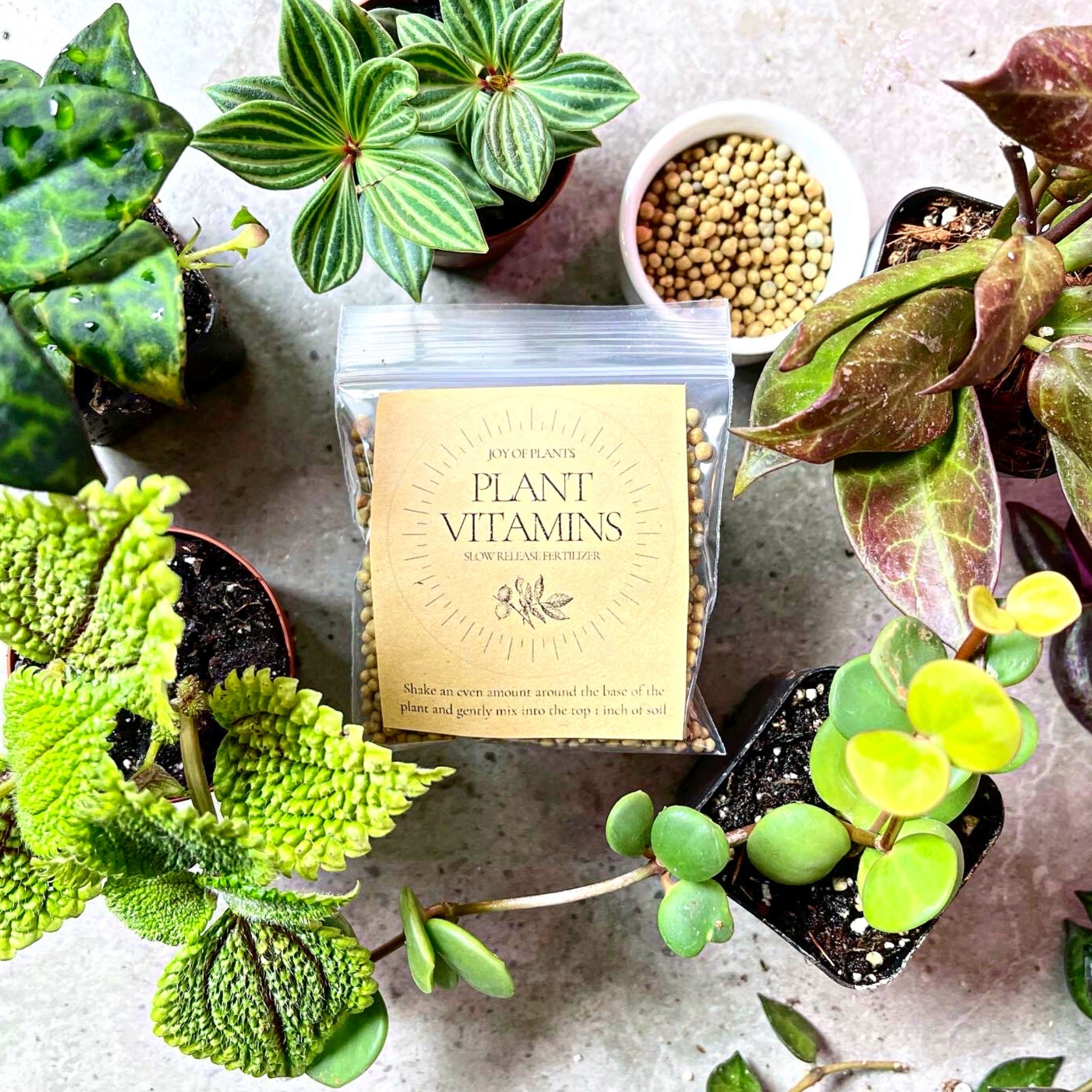Plant Vitamins Full Houseplant Nutrition Slow Release Etsy
