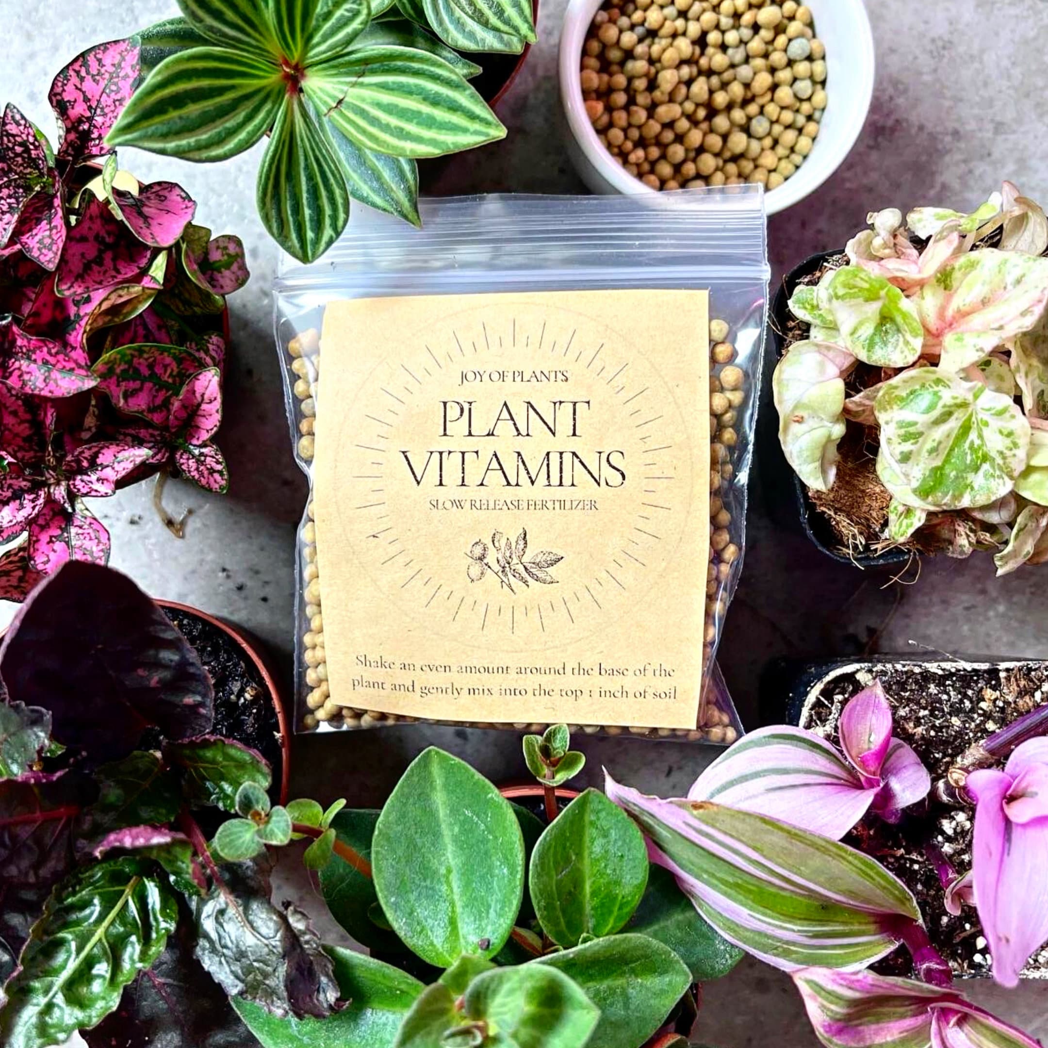 Plant Vitamins Full Houseplant Nutrition Slow Release Etsy