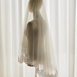 May include: A white bridal veil with a delicate lace trim. The veil is attached to a comb for easy placement in the hair.