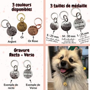 Personalized Dog Tag / Pet ID Tag – Custom Engraved for Dog or Cat – Phone Number, Address, Icon – Round Stainless Steel Tag image 2