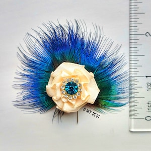 Jewelled Peacock Feather Pin