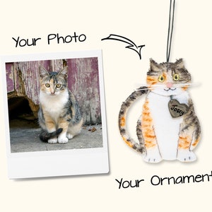 Custom Tortie Cat Ornament Faux Fur Christmas Tree Ornament Personalized Plush Cat Holiday Decoration Custom Pet Name Christmas Gift Custom Tortie Cat Ornament Faux Fur Christmas Tree Ornament Personalized Plush Cat Holiday Decoration Custom Pet Name Christmas Gift