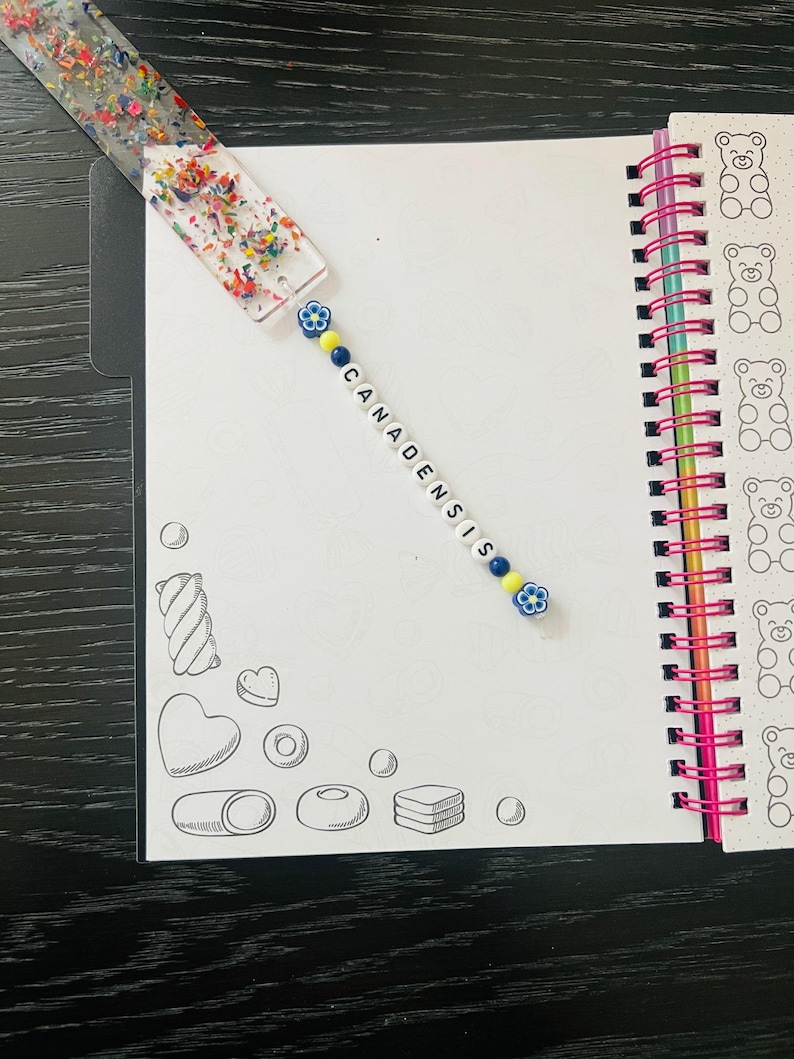 May include: A clear resin bookmark with colorful confetti and a beaded charm that reads "CANADENSIS" in white letters. The bookmark is placed on a white notebook with candy-themed illustrations and a spiral binding.