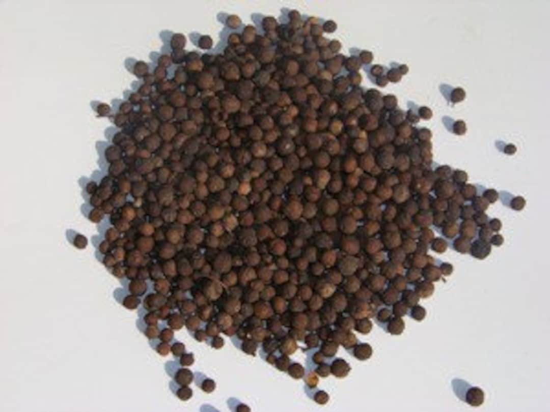 Jamaican Whole Pimento Seeds 8 0z Etsy