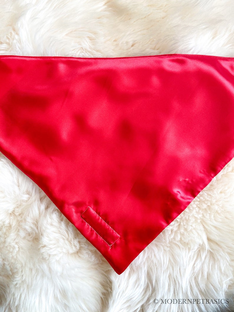 Lunar New Year Dog Bandana Personalized Chinese New Year | Etsy