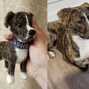 Custom Dog Toy, Handmade Pet Replica from Photo, Personalized Memorial Gift, Birthday Stuffed Animal with Collar,Unique Pet Portrait Plushie