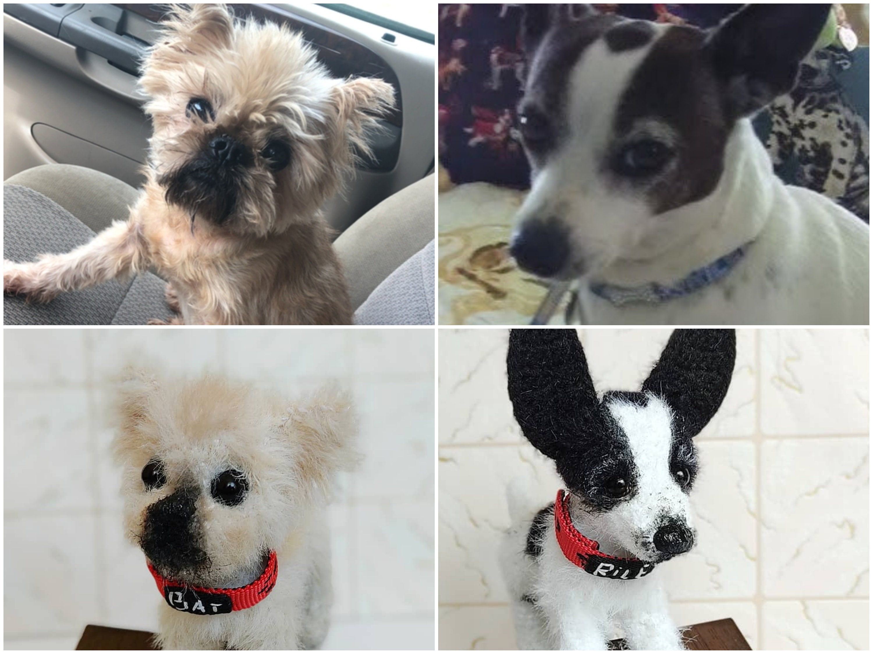 plush toy that looks like your pet