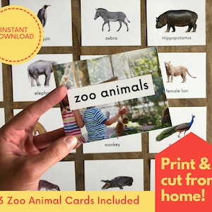 ZOO ANIMALS /Montessori Flash Cards / Toddler Activity / Preschool Learning / Instant download / Printable