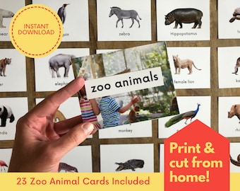 May include: A set of 23 printable zoo animal flash cards. The cards feature a variety of animals, including a zebra, a hippopotamus, a lion, a monkey, and a peacock. The cards are designed to be printed and cut out at home. The text "zoo animals" is visible on one of the cards.