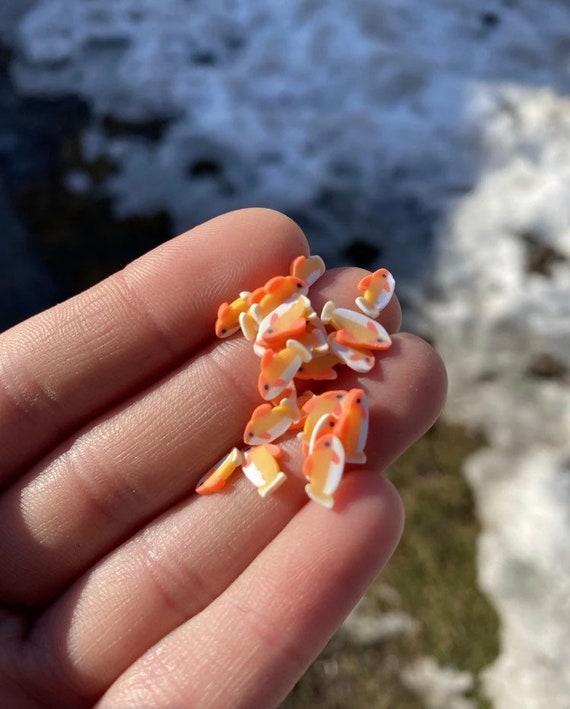 Small Fish Polymer Clay Slices 