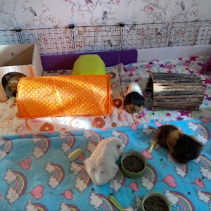 May include: A guinea pig enclosure featuring a wooden hideout, an orange polka-dot tunnel, a log bridge, and a purple plastic shelter. The floor is covered in patterned fabric with donuts, stars, and rainbows, with small bowls of food.