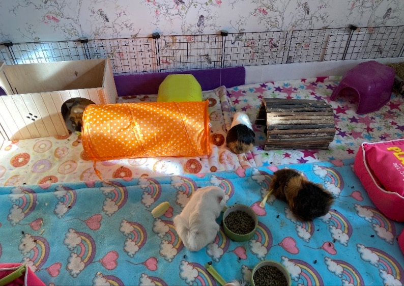 May include: A guinea pig enclosure featuring a wooden hideout, an orange polka-dot tunnel, a log bridge, and a purple plastic shelter. The floor is covered in patterned fabric with donuts, stars, and rainbows, with small bowls of food.