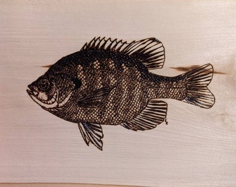 Bluegill WoodBurning