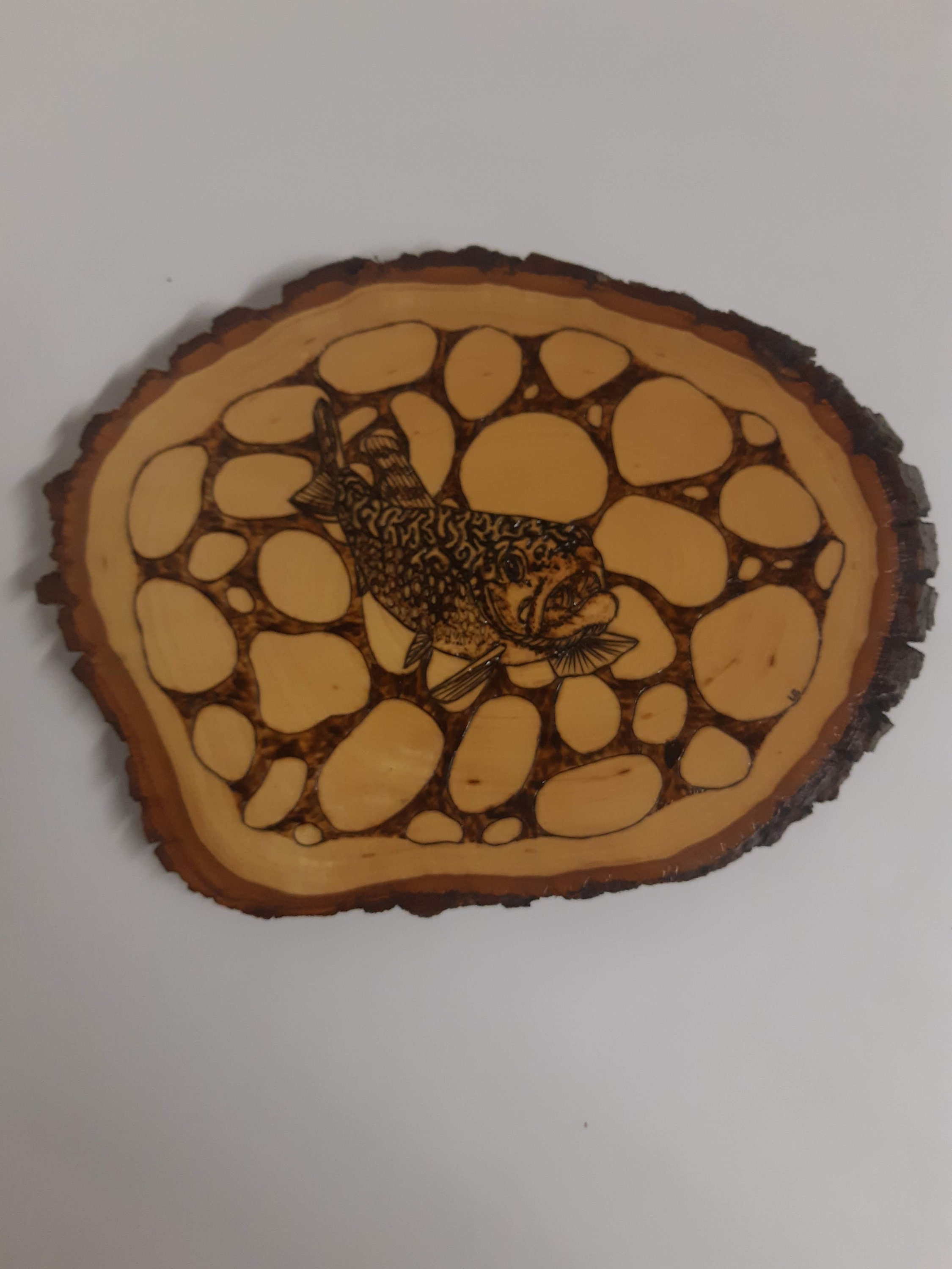 Brook Trout WoodBurning
